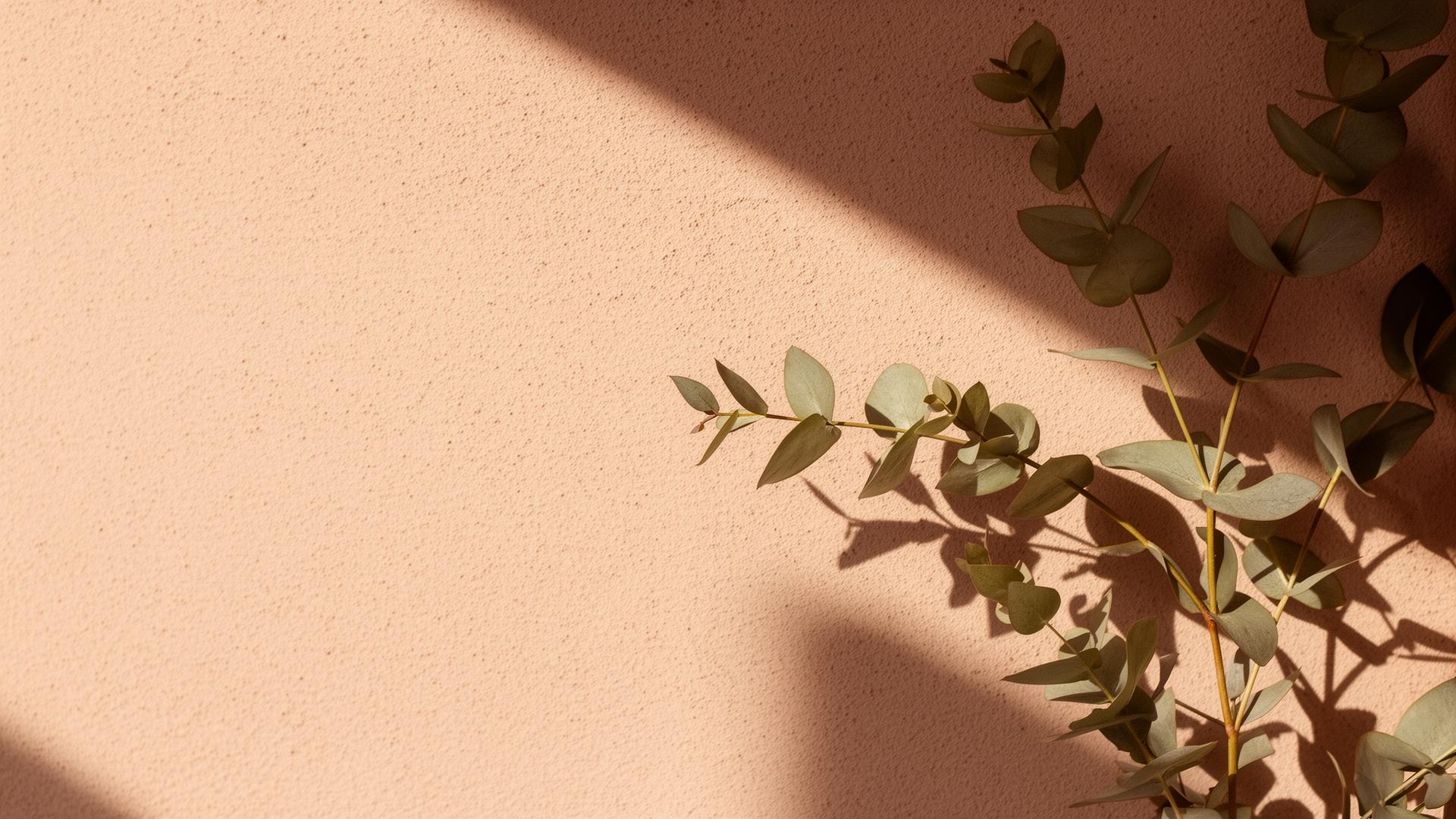 Warm botanical still life for Root&Ritual